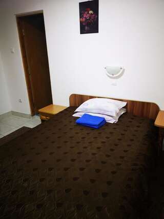 Гостевой дом Pensiunea Mikelis International Куртя-де-Арджеш Двухместный номер с 1 кроватью и собственной ванной комнатой-3